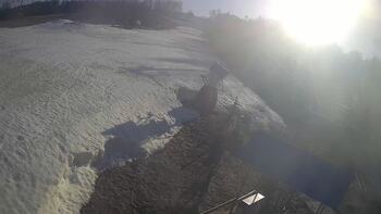 Буковиця 15 березня 2026 року, 2026-03-15 16:00