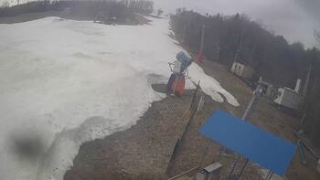 Буковиця 17 березня 2026 року, 2026-03-17 10:00