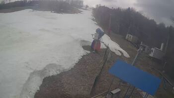 Буковиця 17 березня 2026 року, 2026-03-17 13:00