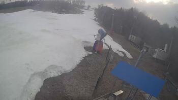 Bukowica 17 marsz 2026 rok, 2026-03-17 16:00