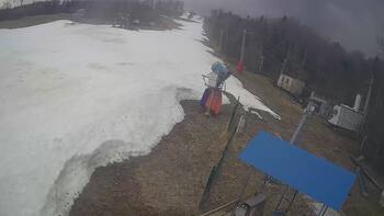 Буковиця 19 березня 2026 року, 2026-03-19 13:00