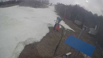 Bukowica 19 marsz 2026 rok, 2026-03-19 16:00