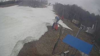 Буковиця 20 березня 2026 року, 2026-03-20 10:00