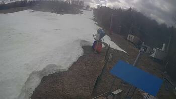 Буковиця 20 березня 2026 року, 2026-03-20 13:00