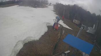 Буковиця 21 березня 2026 року, 2026-03-21 10:00