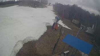 Буковиця 21 березня 2026 року, 2026-03-21 13:00