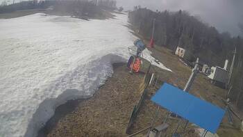 Буковиця 22 березня 2026 року, 2026-03-22 10:00