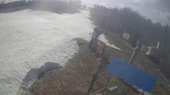 Буковиця 22 березня 2026 року, 2026-03-22 13:00