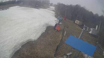 Bukovytsia 28 march 2026 year 10:00