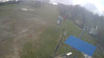 Bukowica 17 kwiecień 2026 rok, 2026-04-17 16:00