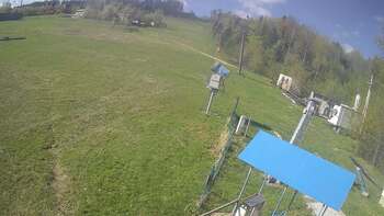 Буковиця 29 квітня 2026 року, 2026-04-29 10:00