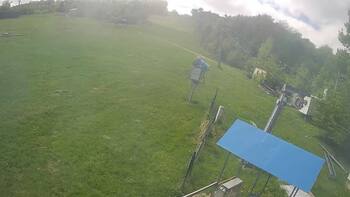 Буковиця 10 травня 2026 року, 2026-05-10 13:00