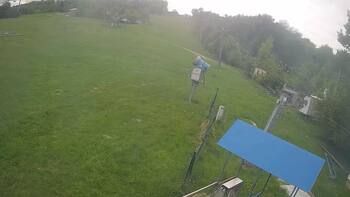Буковиця 14 травня 2026 року, 2026-05-14 13:00