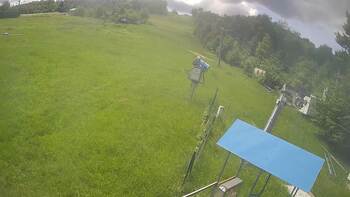 Буковиця 29 травня 2026 року, 2026-05-29 13:00