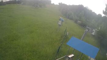 Буковиця 10 червня 2026 року, 2026-06-10 16:00