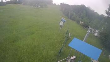 Буковиця 11 червня 2026 року, 2026-06-11 13:00