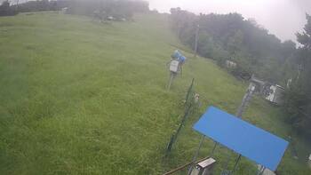 Буковиця 12 червня 2026 року, 2026-06-12 10:00
