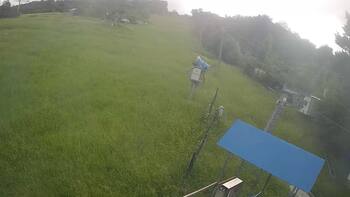 Буковиця 12 червня 2026 року, 2026-06-12 16:00