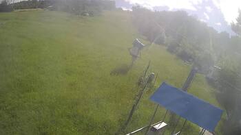 Bukovytsia 15 june 2026 year, 2026-06-15 16:00