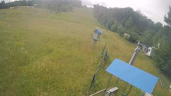 Bukovytsia 7 july 2026 year, 2026-07-07 13:00