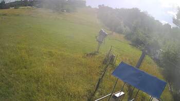 Bukovytsia 29 july 2026 year, 2026-07-29 16:00