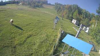 Буковиця 4 жовтня 2026 року, 2026-10-04 10:00