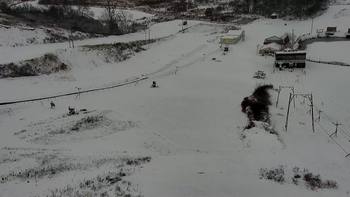 Сорочин Яр 3 грудня 2019 року, 2019-12-03 10:00