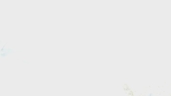 Сорочин Яр 14 листопада 2025 року, 2025-11-14 10:00