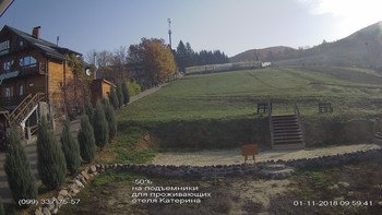 Полянскі 1 листопада 2018 року, 2018-11-01 10:00