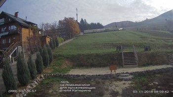 Полянскі 3 листопада 2018 року, 2018-11-03 10:00