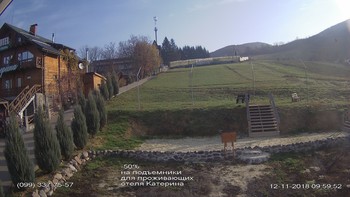 Полянскі 12 листопада 2018 року, 2018-11-12 10:00
