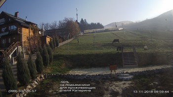 Полянскі 13 листопада 2018 року, 2018-11-13 10:00