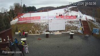 Полянскі 17 лютого 2026 року, 2026-02-17 16:00