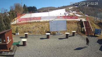 Полянскі 7 березня 2026 року, 2026-03-07 13:00