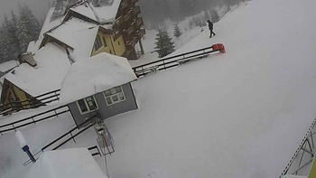 Драгобрат 12 січня 2019 року, 2019-01-12 10:00