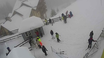 Драгобрат 29 січня 2019 року, 2019-01-29 10:00