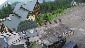 Драгобрат 24 червня 2019 року, 2019-06-24 16:00