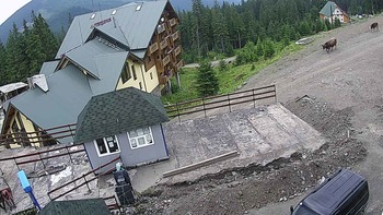 Драгобрат 3 липня 2019 року, 2019-07-03 16:00