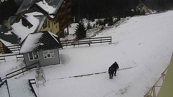 Драгобрат 31 грудня 2019 року, 2019-12-31 10:00