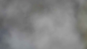 Драгобрат 29 січня 2020 року, 2020-01-29 13:00