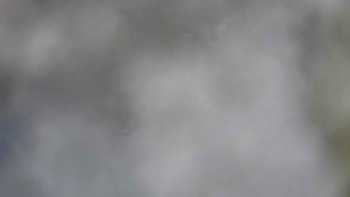Драгобрат 29 січня 2020 року, 2020-01-29 16:00