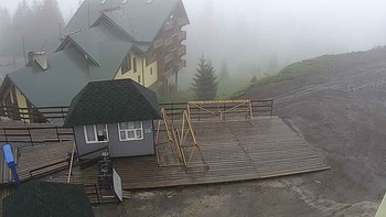 Драгобрат 10 червня 2020 року, 2020-06-10 10:00
