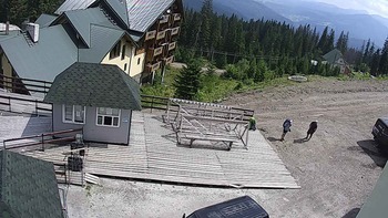 Драгобрат 8 серпня 2020 року, 2020-08-08 13:00