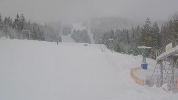 Подобовець 17 січня 2019 року, 2019-01-17 10:00