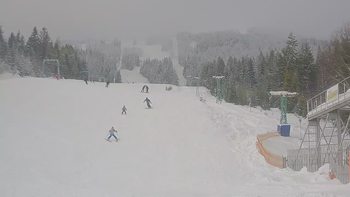 Подобовець 17 січня 2019 року, 2019-01-17 13:00