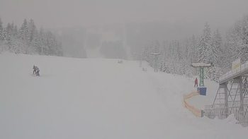 Подобовець 23 січня 2019 року, 2019-01-23 13:00