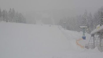 Подобовець 26 січня 2019 року, 2019-01-26 10:00