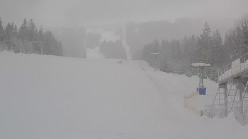 Подобовець 29 січня 2019 року, 2019-01-29 10:00