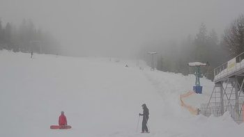 Подобовець 31 січня 2019 року, 2019-01-31 13:00
