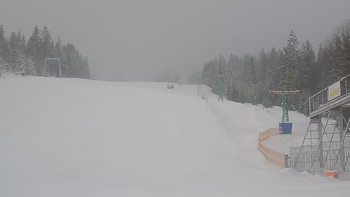 Подобовець 11 лютого 2019 року, 2019-02-11 10:00